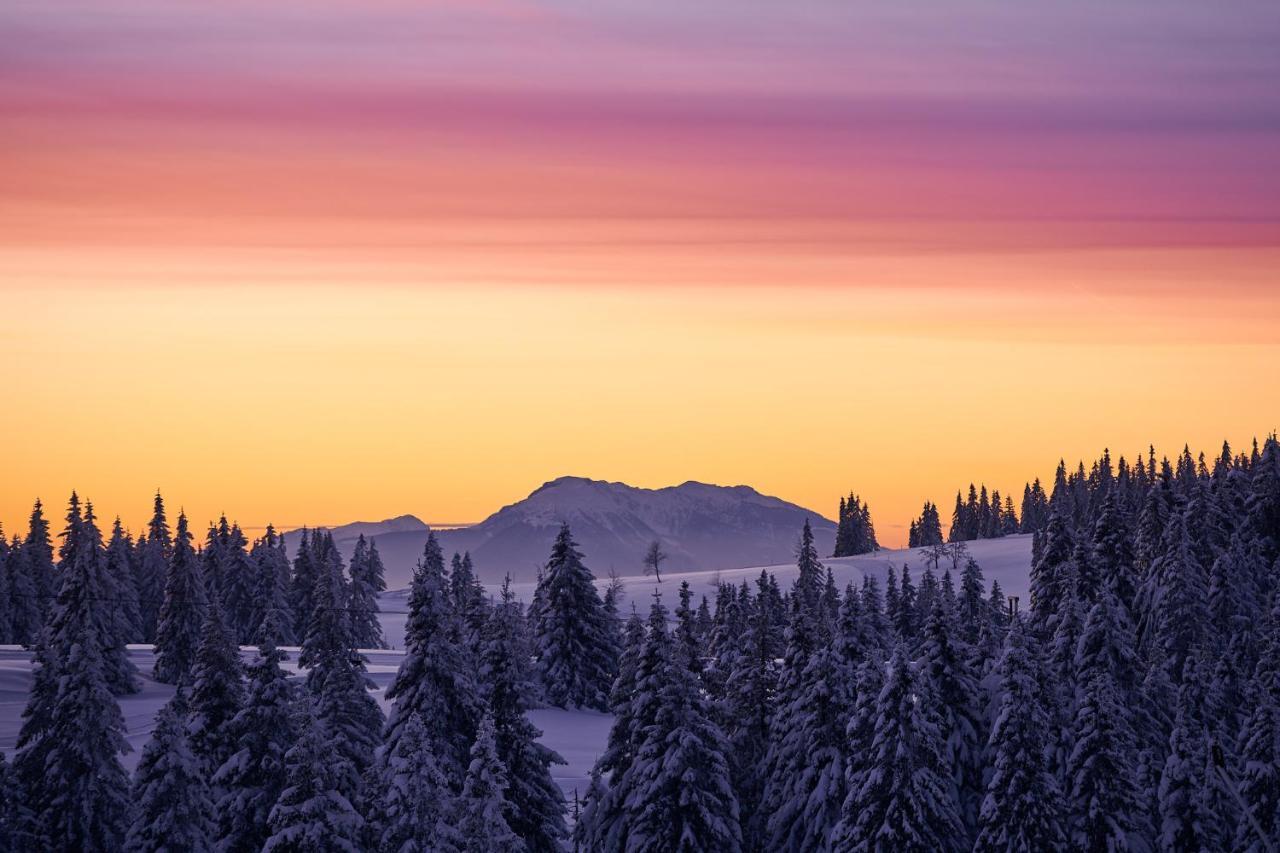 Rogla